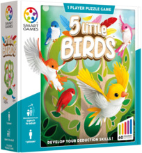 Loogikamäng 5 Little Birds, Smart Games