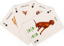 Kaardimäng Kikkerland Paws & Play, GG274
