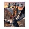 Raamat Harry Potter: A Pop-Up Book, Insight Editions