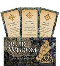 Taro kaardid Rockpool Druid Wisdom Inspiration