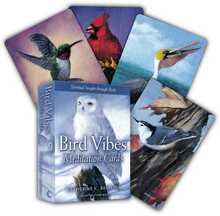 Meditatsioonikaardid Bird Vibes, Beyond Words