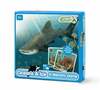 Mälumäng Memory Game Oceans & Ice, 64 tk