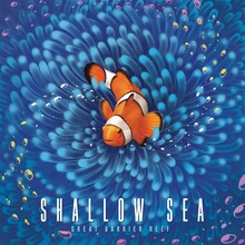 Lauamäng Bad Comet Shallow Sea