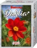 Kaardimäng Bohnanza Dahlia Amigo