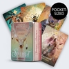 Taro kaardid The Spirit Animal Pocket Oracle, Hay House