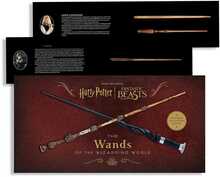 Raamat Harry Potter ja fantastilised loomad: Võlurite maailma võlukepid, Insight Editions