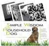 Taro kaardid Schiffer Simple Wisdom of the Household Dog