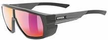 Suusaprillid Uvex MTN Style P, UV5330372530, hall