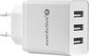 Laadija Everactive SC300, 3xUSB, 3.4A, valge
