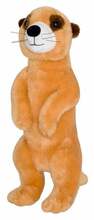 Pehme mänguasi Wild Planet Suricat, pruun, 25 cm