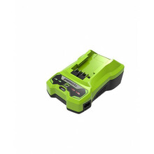Akulaadija Greenworks G24C, 24 V, 2 A