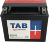 Mootorratta aku TAB MOTO AGM YTX12BS 12V, 10 Ah, 180 A