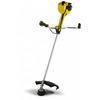 Texas BCP4300