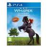 Windstorm PS4