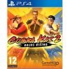 Cobra Kai 2: Dojos Rising PS4