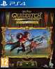 Harry Potter Quidditch Champions Deluxe Edition PS4