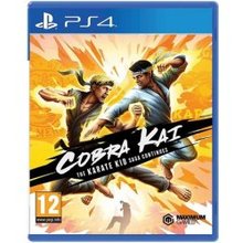 Cobra Kai: The Karate Kid Saga Continues PS4