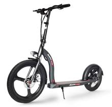 Beaster Scooter Voyager