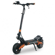 Beaster Scooter Oxen