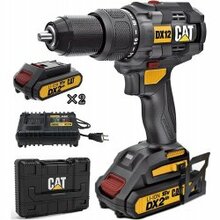 Cat DX12