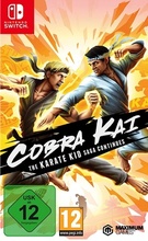 Cobra Kai: The Karate Kid Saga Continues Nintendo Switch