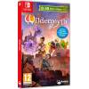 Wildermyth Nintendo Switch