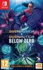 Subnautica: Below Zero Nintendo Switch