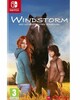 Windstorm: An Unexpected Arrival Nintendo Switch