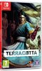 Terracotta Nintendo Switch