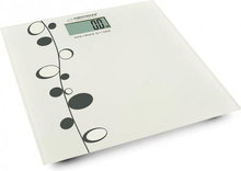 Esperanza EBS005 Zumba