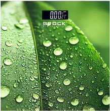 Brock BS003