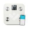 TrueLife FitScale W7
