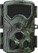 Braun Black1300