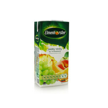 Vitaminiseeritud erinevate puuviljade mahlajook Elmenhorster, 20 prots., 2 l