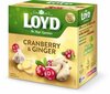 Taimne ja puuviljatee Loyd jõhvika ja ingveri maitsega, 20 x 2 g