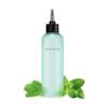 Piparmündi juukseäädikas A'Pieu Mint Scalp, 200 ml