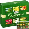 Roheline tee Ahmad Evergreen Selection, 60 teepakki