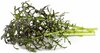 Seemned nutipotti Click & Grow Smart Garden Red Frill Mustard, 3 tk