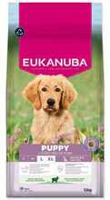 Kuivtoit kutsikatele Eukanuba Puppy&Junior Lamb&Rice Large Breeds, 12 kg