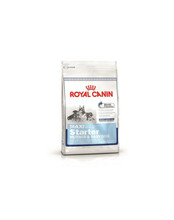 Kuivtoit koertele Royal Canin Maxi Starter Mother & Babydog, 4 kg