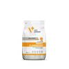 Kuivtoit koertele Vetexpert Veterinary Diet Dog Renal Elimination küülikuga, 2 kg