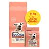 Kuivtoit koertele Purina Dog Chow Sensitive Salmon, 16,5 kg