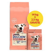 Kuivtoit koertele Purina Dog Chow Sensitive Salmon, 16,5 kg
