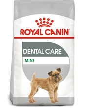 Kuivtoit koertele Royal Canin Mini Dental Care, 3 kg