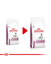 Kuivtoit koertele Royal Canin Vet Mobility Support, 12 kg
