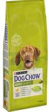 Kuivtoit koertele Purina Dog Chow Adult kanaga, 14 kg
