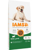 Kuivtoit koertele IAMS For Vitality Adult Large Breed lambalihaga, 12 kg