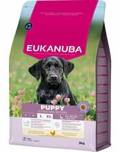 Kuivtoit kutsikatele Eukanuba Puppy Large Breeds Chicken, 3 kg