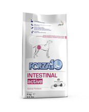 Kuivtoit koertele Forza 10 Intestinal Active Dieta seedeprobleemide korral, 4 kg