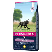 Kuivtoit koertele Eukanuba Puppy&Junior Large Breed 15 kg